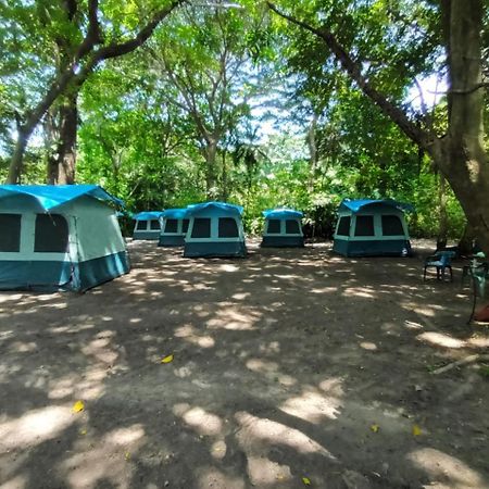 Happy Camping Arrecifes Dentro Del Parque Nacional Natural Tayrona El Coquito エクステリア 写真
