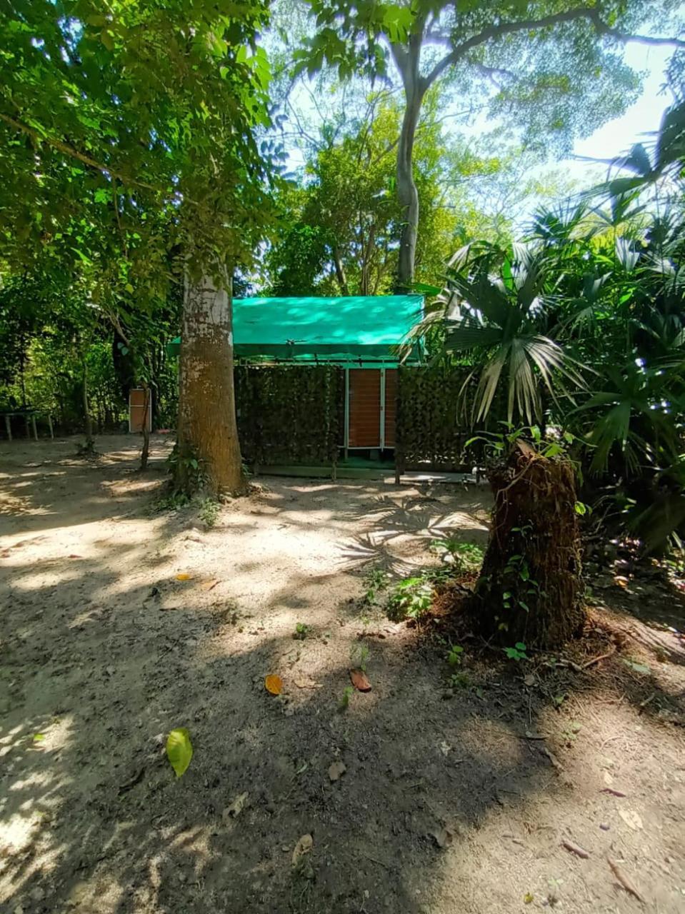 Happy Camping Arrecifes Dentro Del Parque Nacional Natural Tayrona El Coquito エクステリア 写真