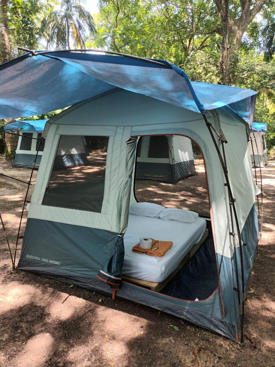 Happy Camping Arrecifes Dentro Del Parque Nacional Natural Tayrona El Coquito エクステリア 写真